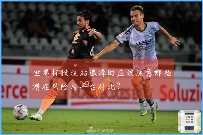 世界杯投注站选择时应该注意哪些潜在风险与平台对比？