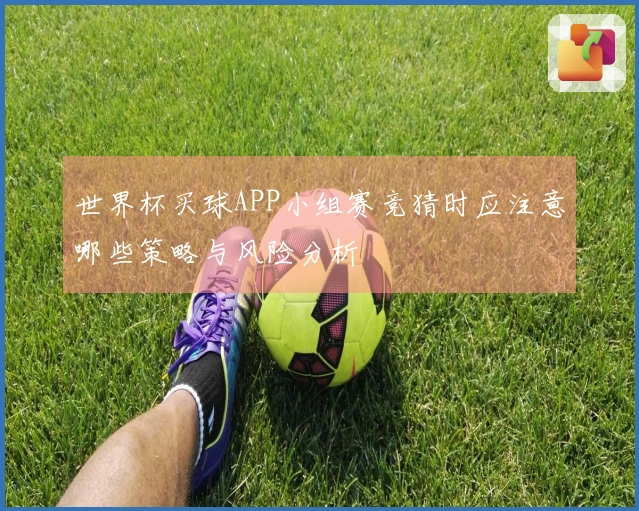 世界杯买球APP小组赛竞猜时应注意哪些策略与风险分析