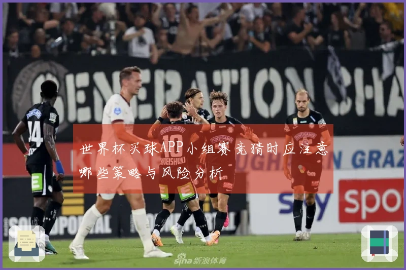 世界杯买球APP小组赛竞猜时应注意哪些策略与风险分析
