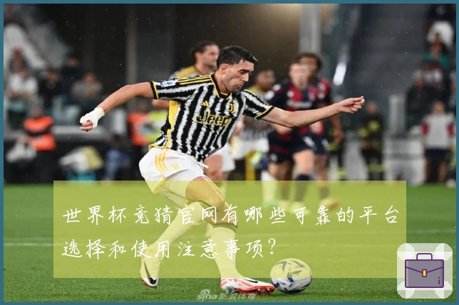 世界杯竞猜官网有哪些可靠的平台选择和使用注意事项？