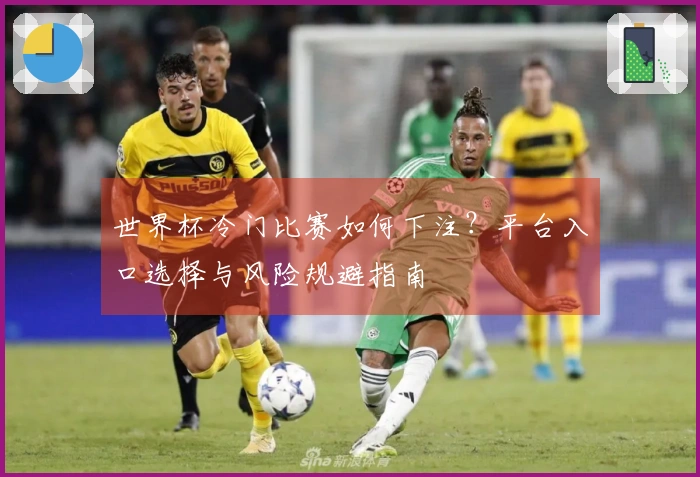 世界杯冷门比赛如何下注？平台入口选择与风险规避指南