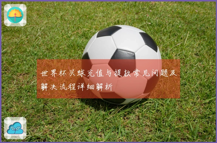 世界杯买球充值与提款常见问题及解决流程详细解析