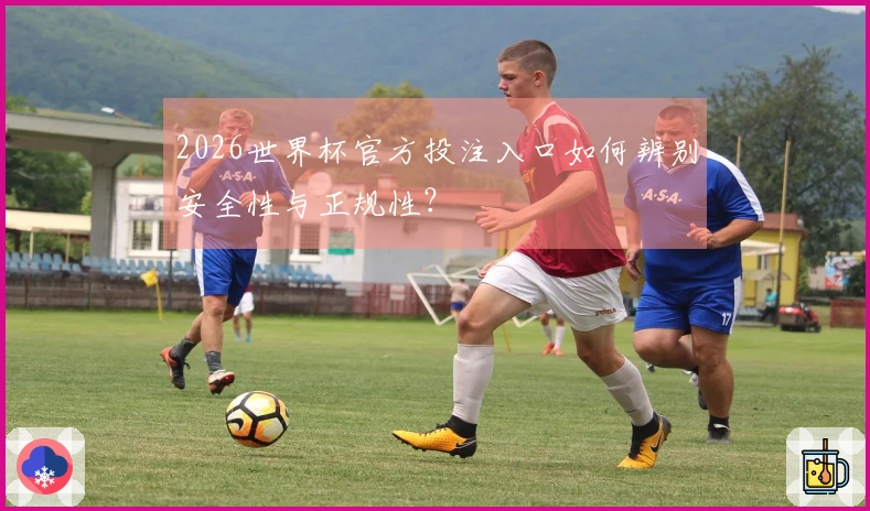 2026世界杯官方投注入口如何辨别安全性与正规性？